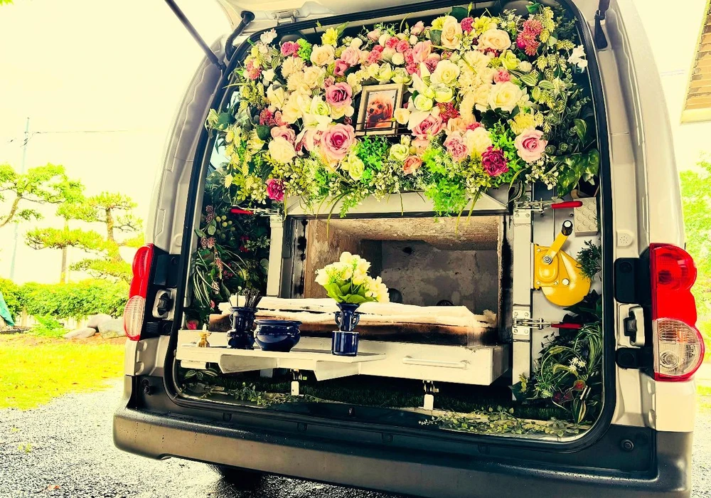 画像242