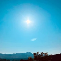 画像247