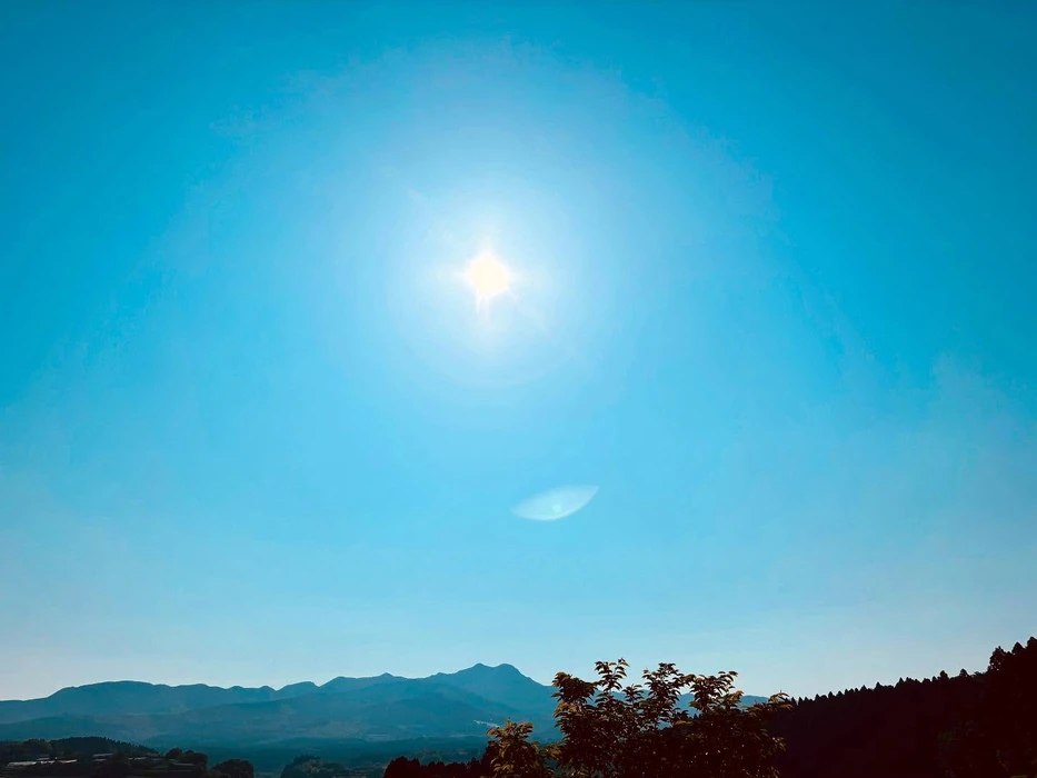 画像247