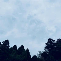 画像258