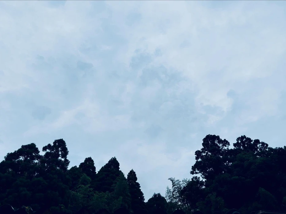 画像258