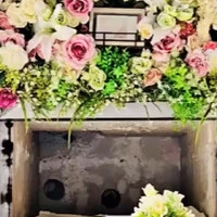 画像262