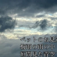 画像264