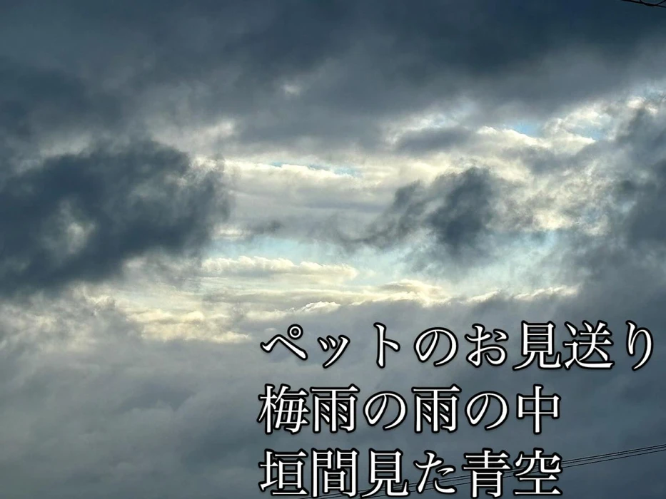 画像264