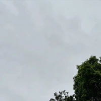 画像266