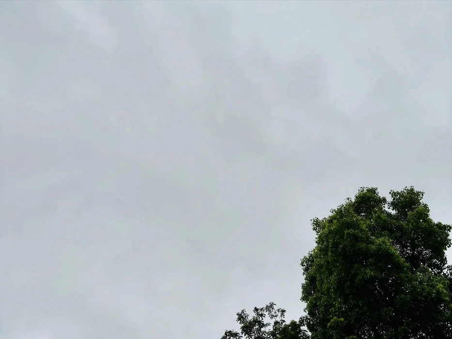 画像266