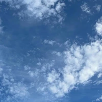 画像274