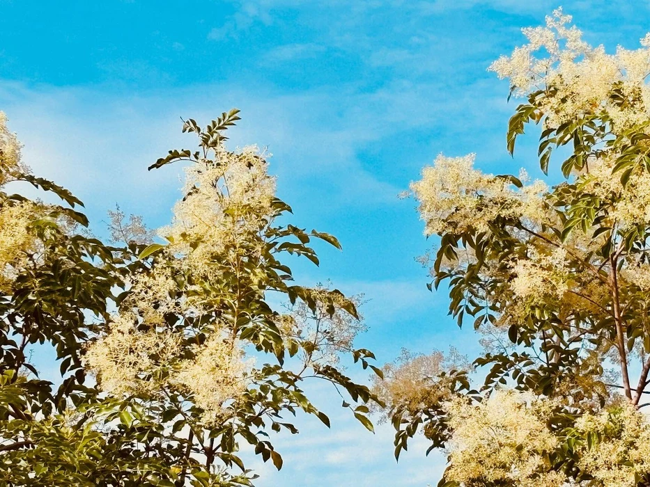 画像278