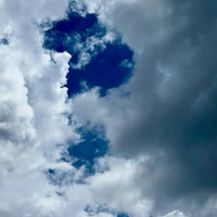 画像283