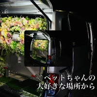 画像284