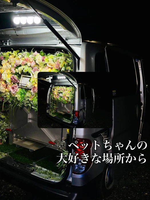 画像284