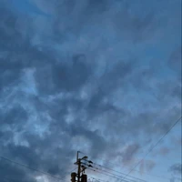画像285