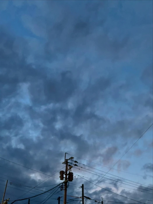 画像285