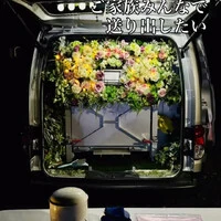 画像289