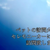 画像292