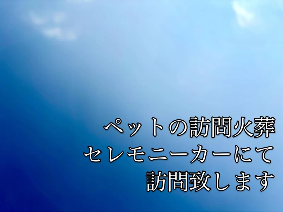 画像292