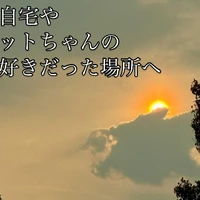 画像293