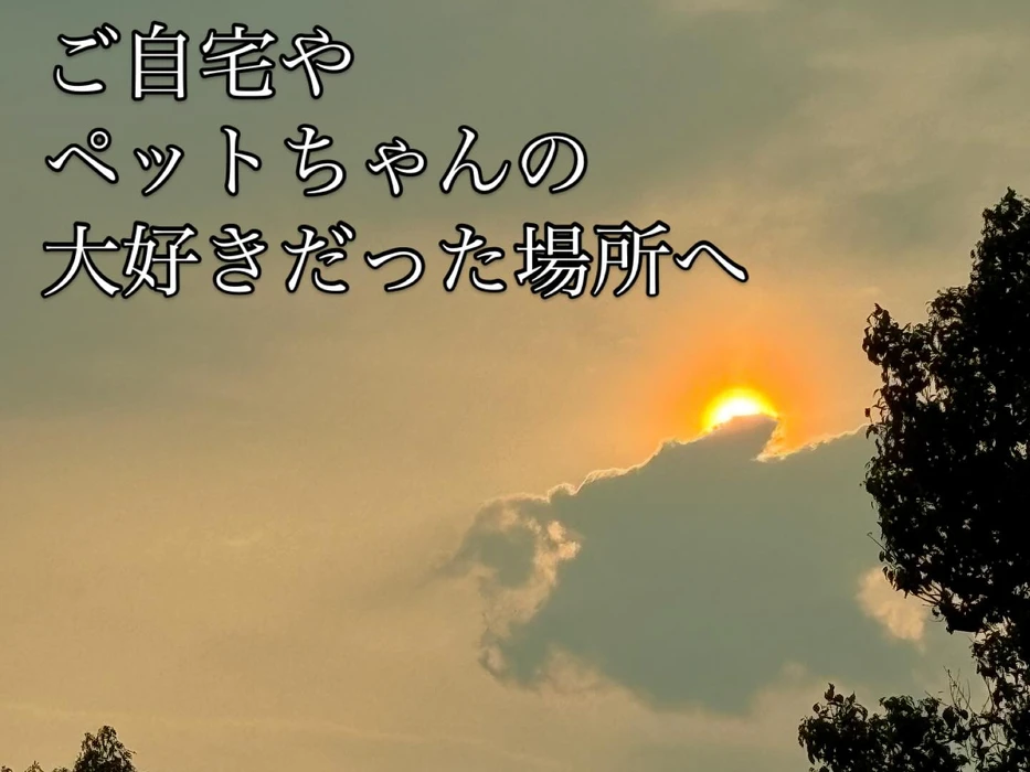 画像293