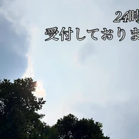 画像295