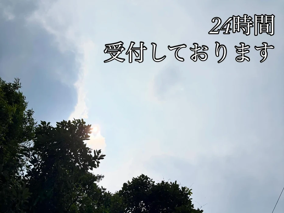 画像295
