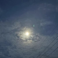 画像305