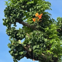 画像306