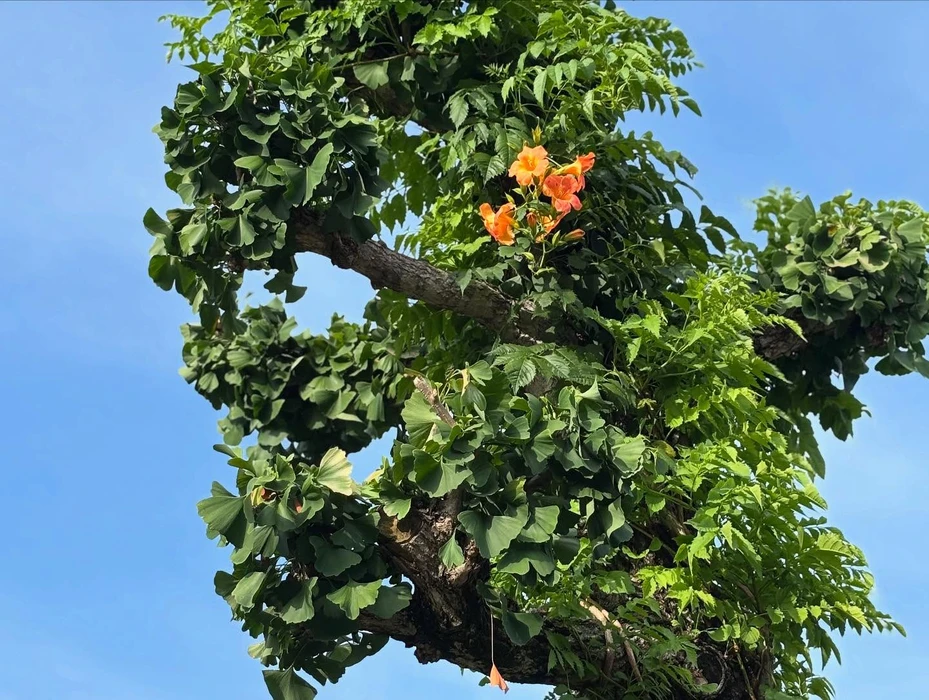 画像306