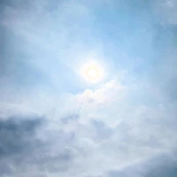 画像311