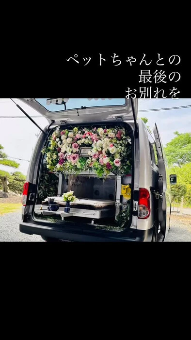 画像316