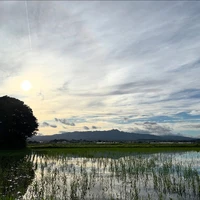 画像319