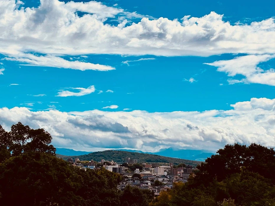 画像321
