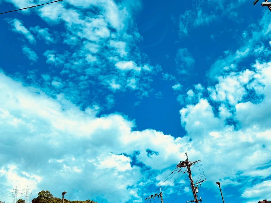 画像323