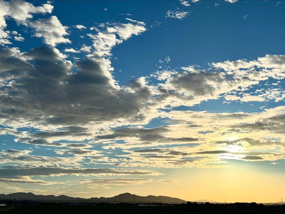 画像331