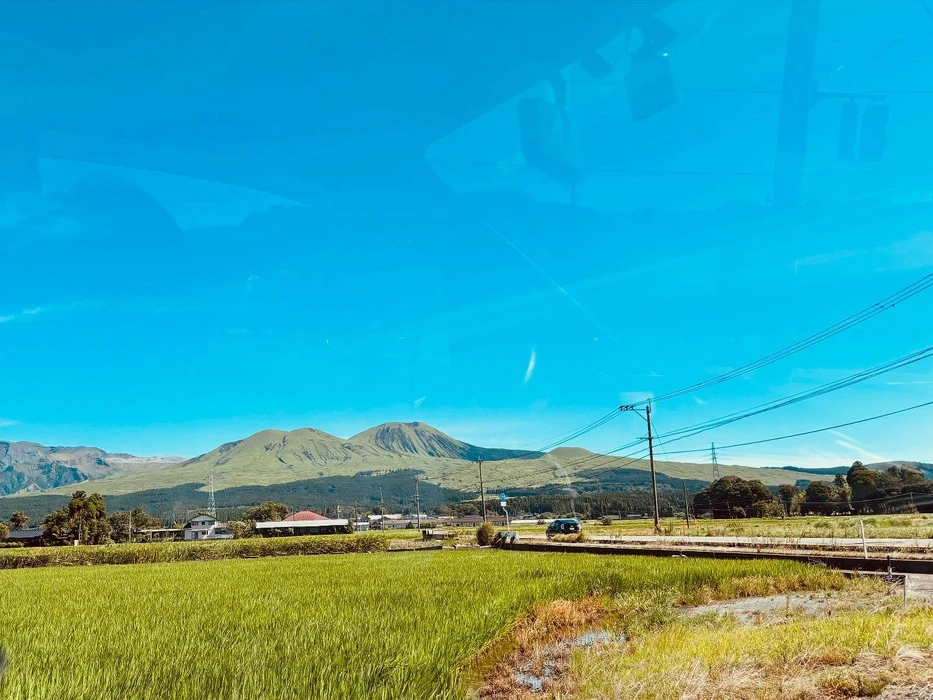 画像333