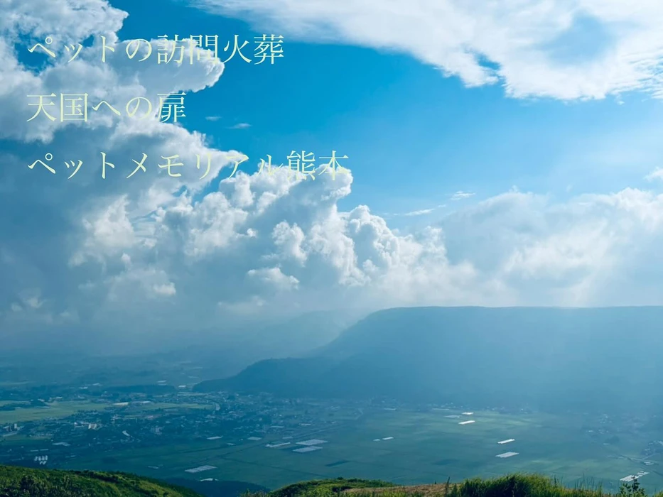 画像338