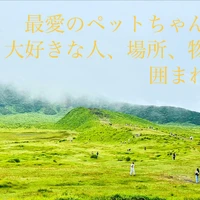 画像340
