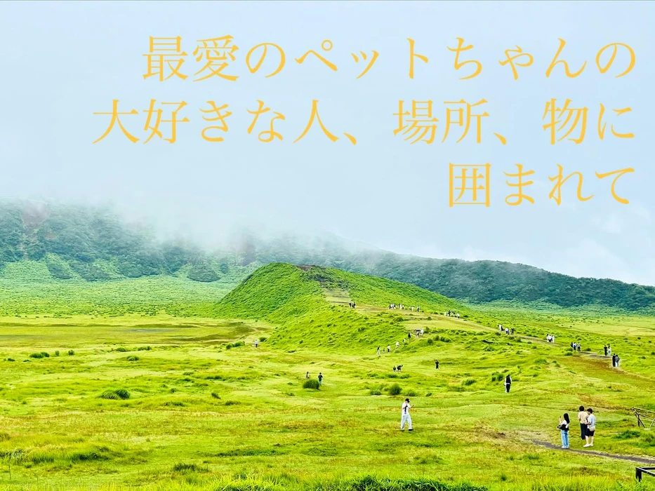 画像340