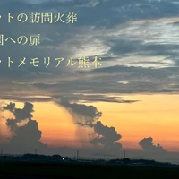 画像349