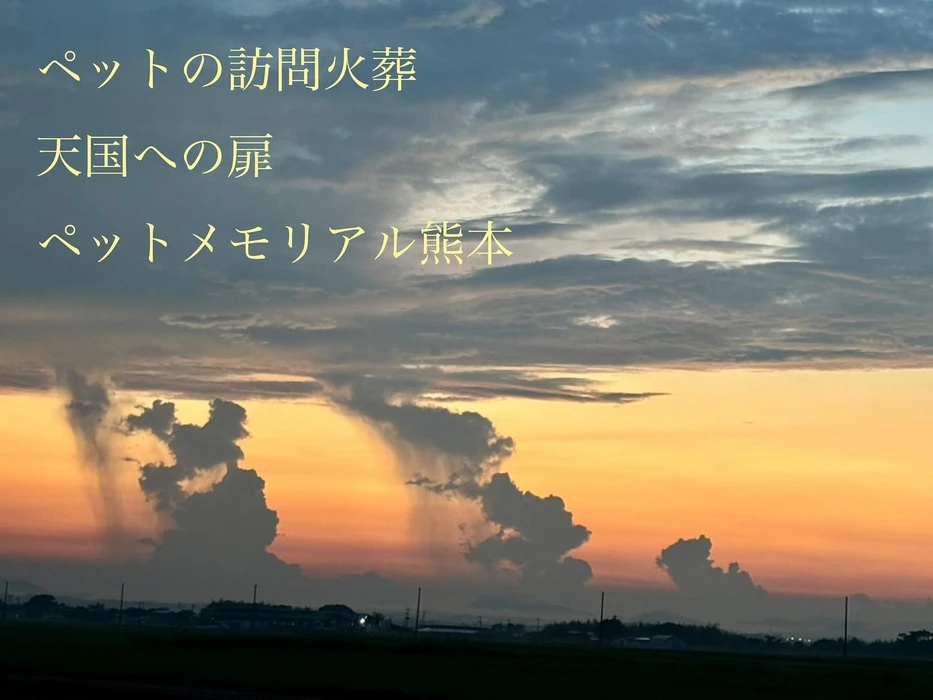 画像349