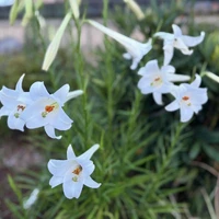 画像353