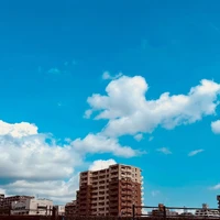 画像355
