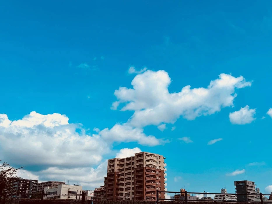 画像355