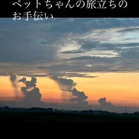 画像358