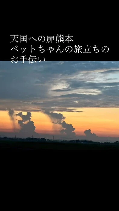 画像358