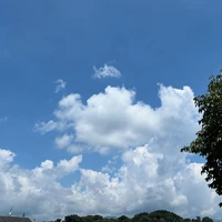 画像361