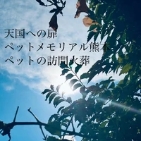画像368