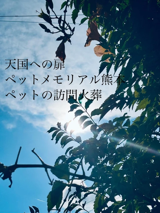 画像368