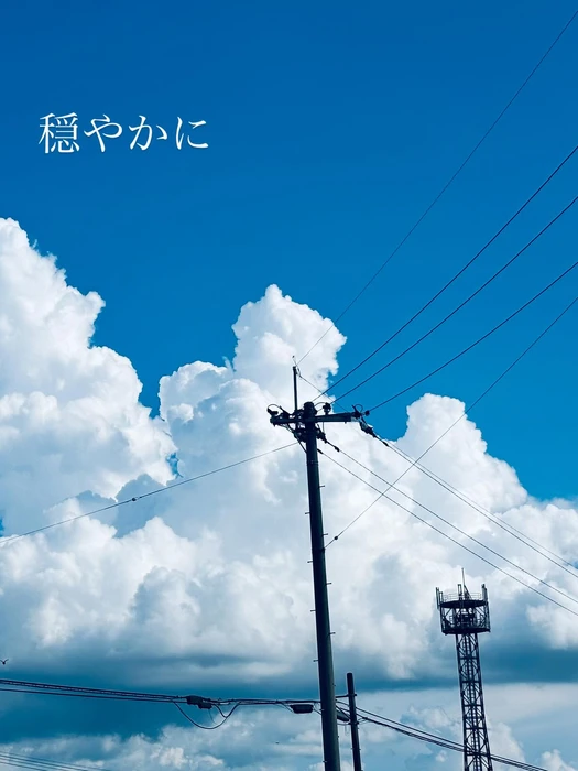 画像372
