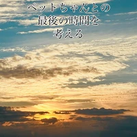 画像379