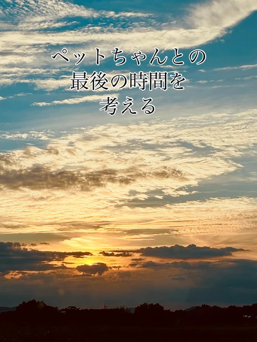 画像379